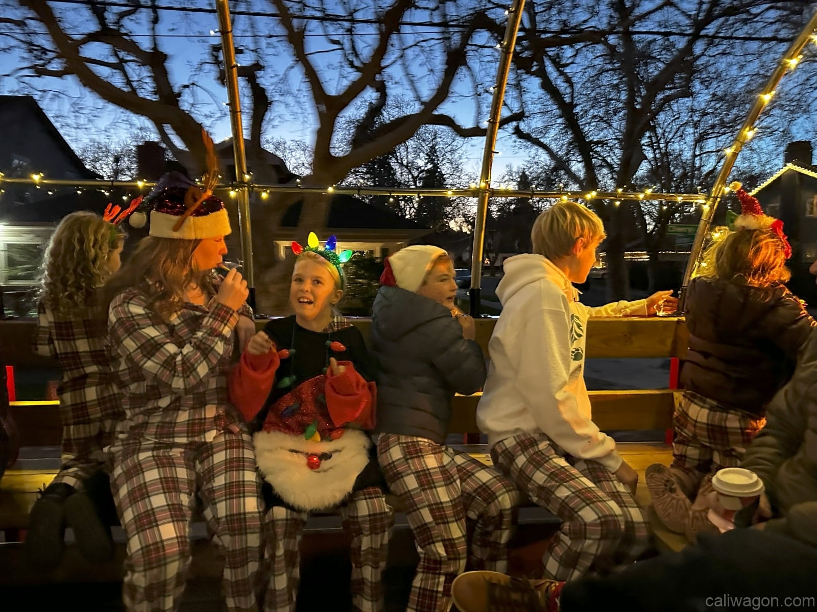 Cali Wagon ride, December 2023 (photo 53 of 61)
