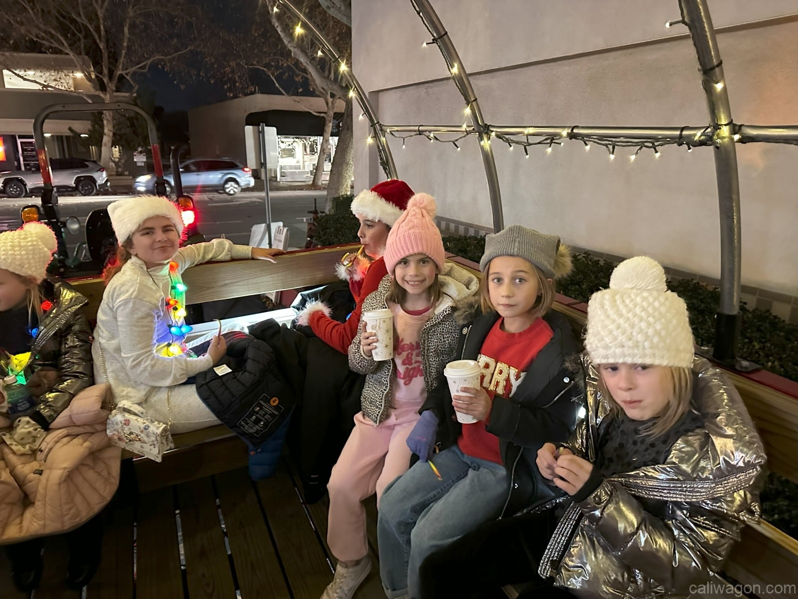 Riders aboard the Cali Wagon under lit hoops on a decorated Willow Glen street, December 2024 (photo 28 of 81)