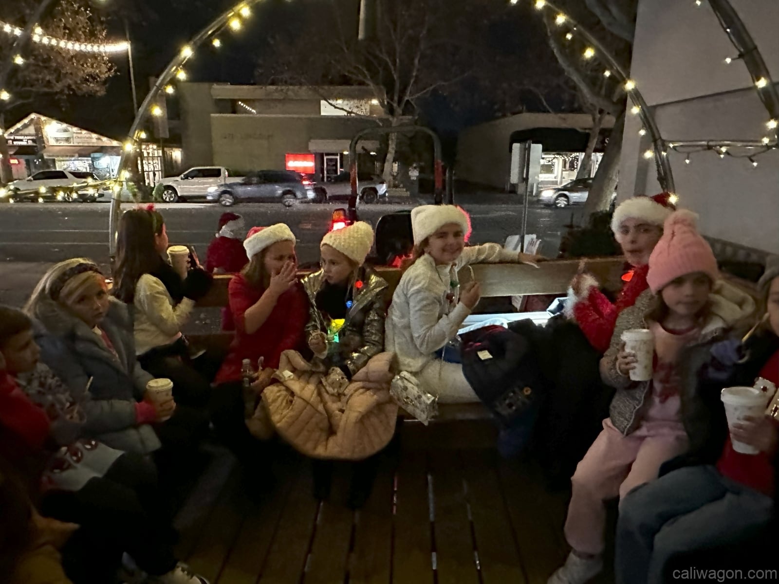 Riders aboard the Cali Wagon under lit hoops on a decorated Willow Glen street, December 2024 (photo 26 of 81)