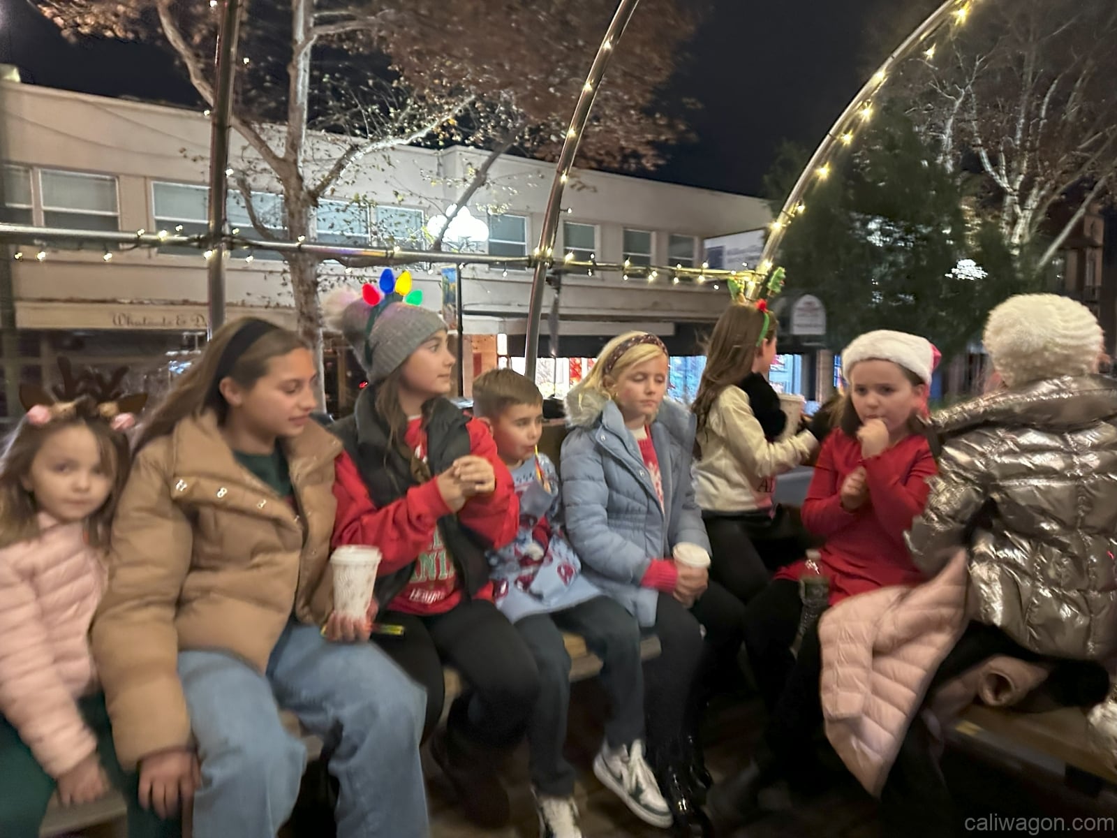 Riders aboard the Cali Wagon under lit hoops on a decorated Willow Glen street, December 2024 (photo 1 of 81)