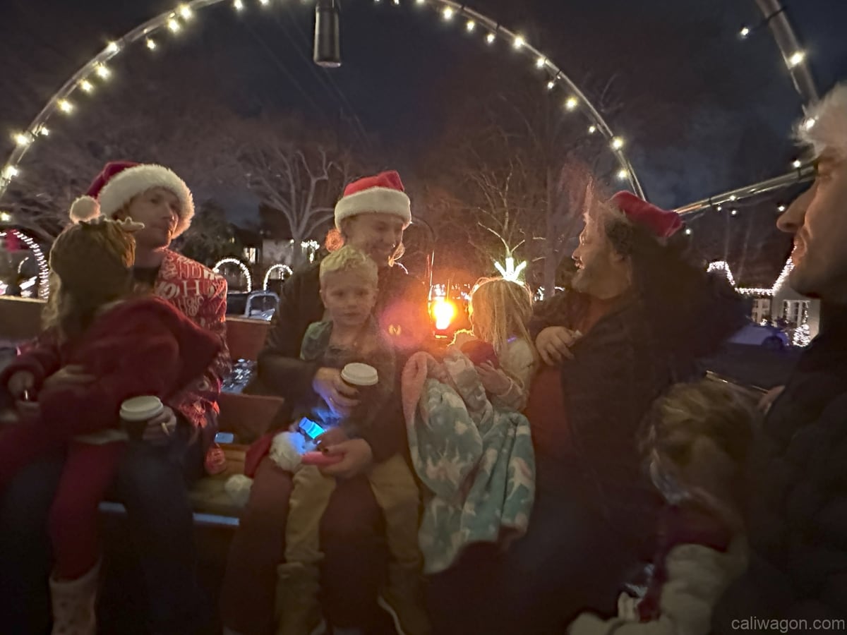 Riders aboard the Cali Wagon under lit hoops on a decorated Willow Glen street, December 2024 (photo 33 of 81)