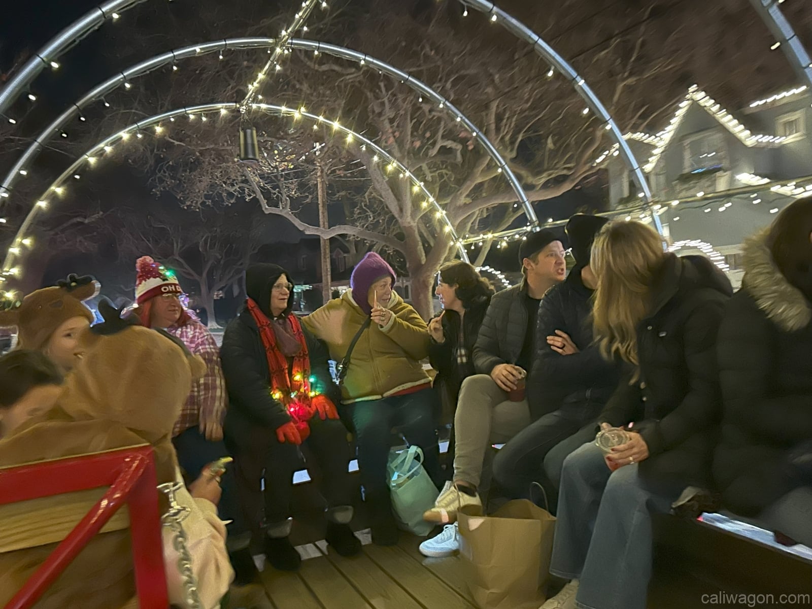 Riders aboard the Cali Wagon under lit hoops on a decorated Willow Glen street, December 2024 (photo 52 of 81)