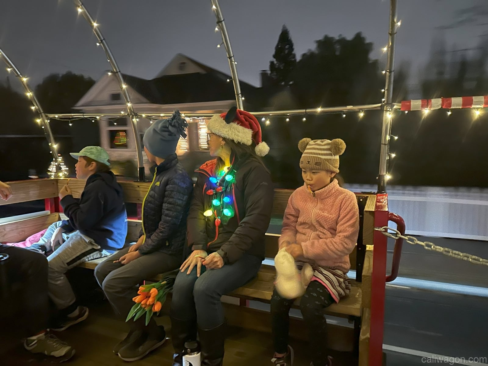 Riders aboard the Cali Wagon under lit hoops on a decorated Willow Glen street, December 2024 (photo 57 of 81)