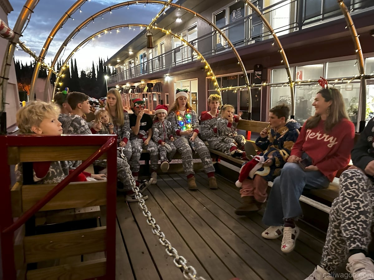 Riders aboard the Cali Wagon under lit hoops on a decorated Willow Glen street, December 2024 (photo 67 of 81)